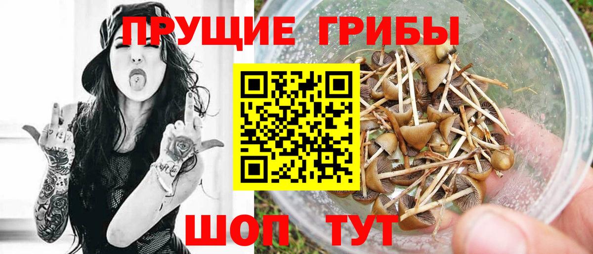 Сургут  Галлюциногенные грибы Cubensis  Вход с VPN  Галлюциногенные грибы Psilocybe 